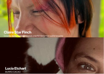 Lecture de Star Finch et Lucia Etchart à la Cité de l'art contemporain